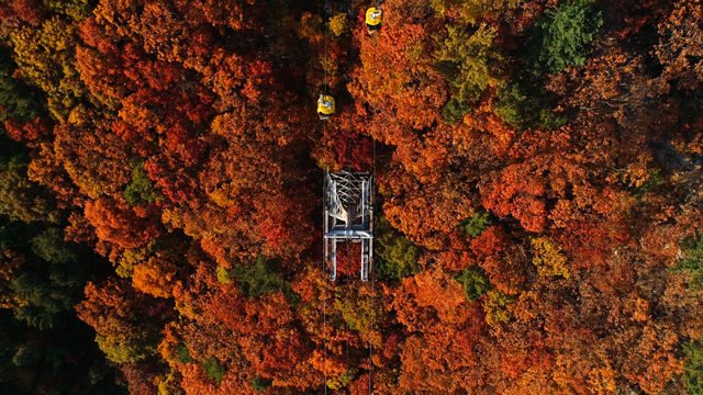 新興的生態旅游城市“Natural Daegu”